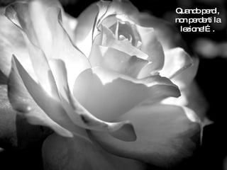 Quando perdi, non perderti la lezione!…. 