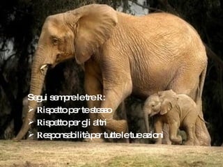 Segui sempre le tre  R : R ispetto per te stesso R ispetto per gli altri R esponsabilità per tutte le tue azioni 