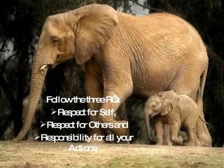 Follow the three R’s: Respect for Self, Respect for Others and Responsibility for all your Actions. 