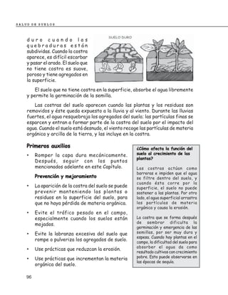 SALUD DE SUELOS



    duro cuando las
    quebraduras están
    subdividas. Cuando la costra
    aparece, es difícil escarbar
    y pasar el arado. El suelo que
    no tiene costra es suave,
    poroso y tiene agregados en
    la superficie.
        El suelo que no tiene costra en la superficie, absorbe el agua libremente
    y permite la germinación de la semilla.
       Las costras del suelo aparecen cuando las plantas y los residuos son
    removidos y éste queda expuesto a la lluvia y al viento. Durante las lluvias
    fuertes, el agua resquebraja los agregados del suelo; las partículas finas se
    esparcen y entran a formar parte de la costra del suelo por el impacto del
    agua. Cuando el suelo está desnudo, el viento recoge las partículas de materia
    orgánica y arcilla de la tierra, y las incluye en la costra.

    Primeros auxilios                                   ¿Cómo afecta la función del
    •    Romper la capa dura mecánicamente.             suelo al crecimiento de las
                                                        plantas?
         Después, seguir con los puntos
         mencionados adelante en este Capítulo.         Las costras actúan como
                                                        barreras e impiden que el agua
         Prevención y mejoramiento                      se filtre dentro del suelo, y
                                                        cuando ésta corre por la
    •    La aparición de la costra del suelo se puede   superficie, el suelo no puede
         prevenir manteniendo las plantas o             sostener a las plantas. Por otro
         residuos en la superficie del suelo, para      lado, el agua superficial arrastra
         que no haya pérdida de materia orgánica.       las partículas de materia
                                                        orgánica y causa la erosión.
    •    Evite el tráfico pesado en el campo,
         especialmente cuando los suelos están          La costra que se forma después
         mojados.                                       de sembrar dificulta la
                                                        germinación y emergencia de las
    •    Evite la labranza excesiva del suelo que       semillas, por ser muy dura y
                                                        espesa. Cuando hay plantas en el
         rompe o pulveriza los agregados de suelo.      campo, la dificultad del suelo para
                                                        absorber el agua da como
    •    Use prácticas que reduzcan la erosión.
                                                        resultado cultivos con crecimiento
    •    Use prácticas que incrementan la materia       pobre. Esto puede observarse en
                                                        las épocas de sequía.
         orgánica del suelo.

    96
 