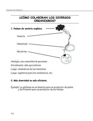 SALUD DE SUELOS




            ¿CÓMO COLABORAN LOS DIVERSOS
                    ORGANISMOS?

    1. Pedazo de materia orgánica


          -Insecto


          -Nematodo


          -Bacterias



    Analogía: una comunidad de personas.
    Inicialmente: sólo agricultores
    Luego: vendedores de herramientas
    Luego: zapateros para los vendedores, etc.


    2. Más diversidad es más eficiente.


    Ejemplo: La gallinaza es un desecho para un productor de pollos
          y fertilizante para un productor de hortalizas.




    112
 