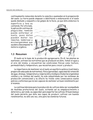 SALUD DE SUELOS



    continuamente removidos durante la cosecha o quemados en la preparación
    del suelo. La tierra puede empezar a debilitarse o endurecerse si el suelo
    queda desnudo y expuesto a los golpes de la lluvia, ya que ésta endurece la
    superficie y lava su
    contenido. Por otro lado,
    la aplicación continua de
    plaguicidas también
    puede enfermar el
    suelo, pues éstos
    pueden matar los
    insectos, lombrices y
    microorganismos que
    ayudan a descomponer la
    materia orgánica.


    1.3 Resumen
        El suelo es la base de la producción agropecuaria. En él, las plantas se
    sostienen, extraen los nutrientes que se producen en éste, toman el agua y
    el aire del mismo, y encuentran las condiciones físicas como textura,
    permeabilidad y temperatura, que necesitan para crecer y producir.
        La importancia de mantener en el suelo un equilibrio químico (cantidad y
    proporción adecuada de nutrientes), físico (porosidad, capacidad de retención
    de agua, drenaje, temperatura y respiración) y biológico (todos los organismos
    visibles y no visibles del suelo), ha sido subestimada por los sistemas de
    producción convencional y su efecto ha traído como consecuencia suelos
    pobres y enfermos que no son capaces de sostener un buen rendimiento por
    sí mismos.
       La continua labranza para la producción de cultivos debe ser acompañada
    de medidas protectoras del suelo, evitando así su empobrecimiento o
    deterioro y, por ende, su capacidad para soportar los cultivos. El buen manejo
    del suelo permite que éste sea capaz de producir cultivos con buenos
    rendimientos, no sólo una vez, sino para las siembras futuras.




    4
 