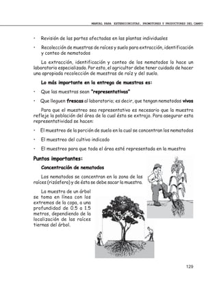 MANUAL PARA EXTENSIONISTAS, PROMOTORES Y PRODUCTORES DEL CAMPO



•   Revisión de las partes afectadas en las plantas individuales
•   Recolección de muestras de raíces y suelo para extracción, identificación
    y conteo de nematodos
    La extracción, identificación y conteo de los nematodos lo hace un
laboratorio especializado. Por esto, el agricultor debe tener cuidado de hacer
una apropiada recolección de muestras de raíz y del suelo.
    Lo más importante en la entrega de muestras es:
•   Que las muestras sean “representativas”
•   Que lleguen frescas al laboratorio; es decir, que tengan nematodos vivos
   Para que el muestreo sea representativo es necesario que la muestra
refleje la población del área de la cual ésta se extrajo. Para asegurar esta
representatividad se hacen:
•   El muestreo de la porción de suelo en la cual se concentran los nematodos
•   El muestreo del cultivo indicado
•   El muestreo para que toda el área esté representada en la muestra

Puntos importantes:
    Concentración de nematodos
    Los nematodos se concentran en la zona de las
raíces (rizósfera) y de ésta se debe sacar la muestra.
    La muestra de un árbol
se toma en línea con los
extremos de la copa, a una
profundidad de 0.5 a 1.5
metros, dependiendo de la
localización de las raíces
tiernas del árbol.




                                                                                 129
 