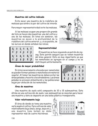 SALUD DE SUELOS



          Muestreo del cultivo indicado
       Evite sacar una muestra de la rizósfera de
    malezas que estén a la par del cultivo de interés.
    Para mayor representatividad evite las malezas.
        Si las malezas ocupan una proporción grande
    del lote se hacen dos muestras: una del cultivo y
    una de las malezas. En lotes sin sembrar, las
    muestras se sacan a la profundidad de la
    rizósfera del cultivo anterior, y, si es posible, de
    los surcos en donde estaban las raíces.
                                   Representatividad
                                   El muestreo se hace siguiendo un patrón de zig-
                               zag. Este patrón asegura que se tomen muestras
                               del área general. Esto es muy importante ya que
                               los nematodos se agregan en el campo y no se
                               distribuyen uniformemente.
          Áreas de mayor probabilidad
        En lotes severamente atacados por nematodos
    se pueden formar pelones o manchones sin material
    vegetal. Al tomar las muestras se deben evitar las
    áreas peladas y hacerlo a los alrededores. Las áreas
    peladas no proveen alimentación y las poblaciones
    bajan por anilación de los nematodos.
          Área de muestreo
        Una muestra de suelo está compuesta de 10 a 15 submuestras. Esta
    última es una extracción de suelo. Las submuestras se mezclan para hacer
    una muestra y ésta se deposita en una bolsa plástica transparente.
          Valor relativamente bajo
        El área de donde se toma una muestra
    varía según el cultivo. Para cultivos de valor
    relativamente bajo (maíz, sorgo, soya etc.),
    una muestra (una bolsa) no debe
    representar más de cuatro hectáreas.

    130
 