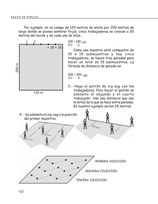 SALUD DE SUELOS



          Por ejemplo, en un campo de 120 metros de ancho por 200 metros de
      largo donde se piensa sembrar frijol, cinco trabajadores se colocan a 20
      metros del borde y de cada uno de ellos.
              1    2                       120 = 120 =20
                                           5+1    6
                             + 20 + 20 -
                                              Como una muestra está compuesta de
                                           10 a 15 submuestras y hay cinco
                                           trabajadores, se hacen tres paradas para
                                           hacer un total de 15 submuestras. La
  200 m




                                           fórmula de distancia de parada es:

                                           200 = 200 =50
                                           3+1    4

                                           3.- Haga el patrón de zig-zag con los
                                               trabajadores. Para hacer el patrón se
                   120 m                       adelanta el segundo y el cuarto
                                               trabajador. Use una distancia que sea
                                               la mitad de lo que se hace entre paradas.
                                               En nuestro ejemplo serían 25 metros.

          4.- Se adelanta el zig-zag a la posición
             del primer muestreo




                                                             PRIMERA COLECCIÓN


                                                       SEGUNDA COLECCIÓN


                                                 TERCERA COLECCIÓN



      132
 