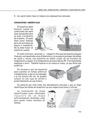 MANUAL PARA EXTENSIONISTAS, PROMOTORES Y PRODUCTORES DEL CAMPO



5.- Se repite hasta tener el número de submuestras indicadas.


CONDICIONES AMBIENTALES

    El muestreo debe
hacerse cuando las
condiciones del suelo
sean apropiadas para
un buen crecimiento
de la planta. El suelo
debe estar húmedo
pero sin extremos de
sequía o inundación.
No se debe hacer un
muestreo cuando:
   El suelo está seco, saturado, o compacto. Para que las muestras lleguen
frescas y con nematodos vivos al laboratorio, es necesario proteger las bolsas
de suelo y raíces. Las muestras se deben cuidar de los excesos de
temperatura o sequía. Si la temperatura se eleva más de 45° C los nematodos
empiezan a morir. También mueren si se reseca el suelo, ya que éstos son
acuáticos.
    Es necesario que las muestras
sean puestas en bolsas plásticas
transparentes, y que no se expongan
a la luz directa del sol. Se pueden
colocar en una caja de cartón o
preferiblemente en una hielera.
   Es esencial que toda bolsa sea debidamente marcada y que un mapa
identifique las bolsas de muestras con sus respectivos lotes y cultivos.
   La localización de áreas
identificadas como infestadas
requiere de un mapa
suficientemente detallado como
para poder tomar medidas de
manejo.



                                                                                133
 