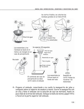 MANUAL PARA EXTENSIONISTAS, PROMOTORES Y PRODUCTORES DEL CAMPO



                                                    Se vierte el balde y se colectan los
                                                    residuos grandes en un tamiz # 20


   A                                                   B                                   C



                                                     TAMIZ 20                                20
                                                                                       TAMIZ




                                                                 Agua,
             Nivel de agua
                                                                 suelo fino
                                                                 y nematodos
             Suelo



 Los nematodos y los      Se esperan 30 segundos
 residuos se lavan en el
                                          Nivel de agua
 tamiz y se recogen en un                Papel filtro
 vaso de precipitación                  Alambre
                                            E                                                  G
                                                     Nematodos en agua
Rociador
              D
                                                                           F
                                                     Tubo de goma

                            20
                       IZ
                   M                                 Grapa o pinzas
              TA
                                                     de presión




                                                                Los nematodos se   Después de
                                 El contenido del vaso de       filtran hasta el   cierto tiempo se
                                 precipitación se debe          fondo del tubo     recobran los
                                 vertir sobre el embudo
                                                                                   nematodos


4.- Prepare el embudo, conectando a su cuello la manguerita de jebe y
    colóquelo sobre el soporte de madera o metal. Cierre la manguerita con
    un clip y llene el embudo con la solución de azul de metileno, hasta un
    poco más de la mitad del embudo. Coloque la malla de metal y papel filtro
    o facial en la parte superior del embudo.


                                                                                                   135
 
