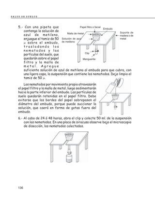 SALUD DE SUELOS



    5.- Con una pipeta que                     Papel filtro o facial
                                                                     Embudo
       contenga la solución de                                              Soporte de
                                     Malla de metal
       azul de metileno,                                                    madera o de
       enjuague el tamiz de 50 Solución de azul                             metal
       µ sobre el embudo,        de metileno

       trasladando los
       nematodos y las
                                                    Clip
       partículas del suelo, que
       quedarán sobre el papel                    Manguerita
       filtro y la malla de
       metal. Agregue
       suficiente solución de azul de metileno al embudo para que cubra, con
       una ligera capa, la suspensión que contiene los nematodos. Deje limpio el
       tamiz de 50 µ.
        Los nematodos por movimiento propio atravesarán
    el papel filtro y la malla de metal, luego sedimentarán
    hacia la parte inferior del embudo. Las partículas de
    suelo quedarán retenidas en el papel filtro. Debe
    evitarse que los bordes del papel sobrepasen el
    diámetro del embudo, porque puede succionar la
    solución, que caerá en forma de gotas fuera del
    embudo.
    6.- Al cabo de 24 ó 48 horas, abra el clip y colecte 50 ml. de la suspensión
        con los nematodos. En una placa de siracusa observe bajo el microscopio
        de disección, los nematodos colectados.




    136
 