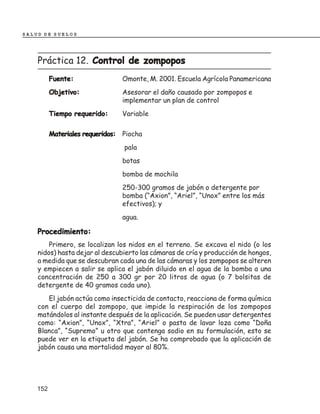 SALUD DE SUELOS




    Práctica 12. Control de zompopos
          Fuente:               Omonte, M. 2001. Escuela Agrícola Panamericana
          Objetivo:             Asesorar el daño causado por zompopos e
                                implementar un plan de control
          Tiempo requerido:     Variable

          Materiales requeridos: Piocha
                                 pala
                                botas
                                bomba de mochila
                                250-300 gramos de jabón o detergente por
                                bomba (“Axion”, “Ariel”, “Unox” entre los más
                                efectivos); y
                                agua.

    Procedimiento:
        Primero, se localizan los nidos en el terreno. Se excava el nido (o los
    nidos) hasta dejar al descubierto las cámaras de cría y producción de hongos,
    a medida que se descubran cada una de las cámaras y los zompopos se alteren
    y empiecen a salir se aplica el jabón diluido en el agua de la bomba a una
    concentración de 250 a 300 gr por 20 litros de agua (o 7 bolsitas de
    detergente de 40 gramos cada uno).
       El jabón actúa como insecticida de contacto, reacciona de forma química
    con el cuerpo del zompopo, que impide la respiración de los zompopos
    matándolos al instante después de la aplicación. Se pueden usar detergentes
    como: “Axion”, “Unox”, “Xtra”, “Ariel” o pasta de lavar loza como “Doña
    Blanca”, “Supremo” u otro que contenga sodio en su formulación, esto se
    puede ver en la etiqueta del jabón. Se ha comprobado que la aplicación de
    jabón causa una mortalidad mayor al 80%.




    152
 