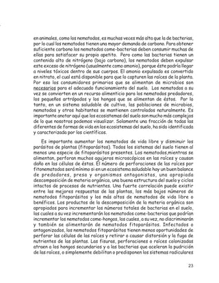 en animales, como los nematodos, es muchas veces más alta que la de bacterias,
por lo cual los nematodos tienen una mayor demanda de carbono. Para obtener
suficiente carbono los nematodos come-bacterias deben consumir muchas de
ellas para satisfacer su propio apetito. Pero como las bacterias tienen un
contenido alto de nitrógeno (bajo carbono), los nematodos deben expulsar
este exceso de nitrógeno (usualmente como amonio), porque éste podría llegar
a niveles tóxicos dentro de sus cuerpos. El amonio expulsado es convertido
en nitrato, el cual está disponible para que lo capturen las raíces de la planta.
Por eso los consumidores primarios que se alimentan de microbios son
necesarios para el adecuado funcionamiento del suelo. Los nematodos a su
vez se convierten en un recurso alimenticio para los nematodos predadores,
los pequeños artrópodos y los hongos que se alimentan de éstos. Por lo
tanto, en un sistema saludable de cultivo, las poblaciones de microbios,
nematodos y otros habitantes se mantienen controlados naturalmente. Es
importante anotar aquí que los ecosistemas del suelo son mucho más complejos
de lo que nosotros podemos visualizar. Solamente una fracción de todas las
diferentes de formas de vida en los ecosistemas del suelo, ha sido identificada
y caracterizada por los científicos.
    Es importante aumentar los nematodos de vida libre y disminuir los
parásitos de plantas (fitoparásitos). Todos los sistemas del suelo tienen al
menos una especie de fitoparásitos presentes. Los nematodos,mientras se
alimentan, perforan muchos agujeros microscópicos en las raíces y causan
daño en las células de éstas. El número de perforaciones de las raíces por
fitonematodos será mínimo si en un ecosistema saludable hay un buen balance
de predadores, presa y organismos antagonistas, una apropiada
descomposición de materia orgánica, una buena estructura del suelo y ciclos
intactos de procesos de nutrientes. Una fuerte correlación puede existir
entre las mejores respuestas de las plantas, los más bajos números de
nematodos fitoparásitos y los más altos de nematodos de vida libre o
benéficos. Los productos de la descomposición de la materia orgánica son
apropiados para incrementar los números totales de bacterias en el suelo,
las cuales a su vez incrementarán los nematodos come-bacterias que podrían
incrementar los nematodos come-hongos, los cuales, a su vez, no discriminarán
y también se alimentarán de nematodos fitoparásitos. Infectados o
antagonizados, los nematodos fitoparásitos tienen menos oportunidades de
perforar las células de las raíces y retirar o causar distorsión y la fuga de
nutrientes de las plantas. Las fisuras, perforaciones o raíces colonizadas
atraen a los hongos secundarios y a las bacterias que aceleran la pudrición
de las raíces, o simplemente debilitan o predisponen los sistemas radiculares

                                                                              23
 