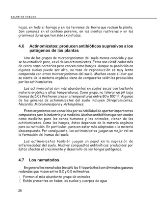 SALUD DE SUELOS



    hojas, en todo el forraje y en los terrones de tierra que rodean la planta.
    Son comunes en el centeno perenne, en las plantas rastreras y en las
    gramíneas duras que han sido explotadas.


    4.6    Actinomicetos: producen antibióticos supresivos a los
           patógenos de las plantas
        Uno de los grupos de microorganismos del suelo menos conocido y que
    se ha estudiado poco, es el de los actinomicetos. Éstos son clasificados más
    de cerca como bacterias pero crecen como hongos. Aunque su población en
    algunos suelos puede ser alta, su tasa de reproducción es muy lenta
    comparada con otros microorganismos del suelo. Muchas veces el olor que
    se siente de la materia orgánica viene de compuestos volátiles producidos
    por los actiniomicetos.
       Los actiniomicetos son más abundantes en suelos secos con bastante
    materia orgánica y altas temperaturas. Como grupo, no toleran un pH bajo
    (menos de 5.0). Prefieren crecer a temperaturas entre 80 y 100° F. Algunos
    de los géneros de actiniomicetos del suelo incluyen Streptomicetes,
    Nocardia, Micromonospora y Actinoplanes.
        Estos organismos son conocidos por su habilidad de aportar importantes
    compuestos para la industria y la medicina. Muchos antibióticos que son usados
    como medicina para los seres humanos y los animales, vienen de los
    actiniomicetos. Como los hongos, éstos dependen de la materia orgánica
    para su nutrición. En particular, parecen estar más adaptados a la materia
    descompuesta. Por consiguiente, los actiniomicetos juegan un mejor rol en
    la formación del humus del suelo.
       Los actinomicetos también juegan un papel en la supresión de
    enfermedades del suelo. Muchos compuestos antibióticos producidos por
    éstos afectan el crecimiento y desarrollo de los hongos patógenos.


    4.7    Los nematodos
       En general los nematodos (no sólo los fitoparásitos) son diminutos gusanos
    redondos que miden entre 0.2 y 0.5 milímetros.
     〈 Forman el más abundante grupo de animales
     〈 Están presentes en todos los suelos y cuerpos de agua

    28
 