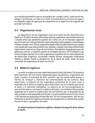MANUAL PARA EXTENSIONISTAS, PROMOTORES Y PRODUCTORES DEL CAMPO



microscópica(animalitos que no se pueden ver a simple vista), como bacterias,
hongos y protozoos. La vida en el suelo frecuentemente es activa en agua o
en delgadas capas de agua que se encuentran en la superficie de lugares que
proveen nutrientes.


5.4 Organismos vivos
    La importancia de los organismos vivos en el suelo ha sido discutida en el
Capítulo 4. El suelo contiene diferentes tipos de organismos, hay desde bacterias
y ascomicetos que solamente pueden ser vistos con un microscopio (aparato
que sirve para ver más grandes las cosas chiquitas), hasta gusanos y escarabajos
visibles a simple vista. Estos organismos desarrollan muchas labores que ayudan
a los suelos para que sean productivos, además, cumplen funciones ambientales
importantes como el reciclaje de nutrientes, liberándolos después para que las
plantas se nutran, y la planta captura el nitrógeno del aire, nitrificándolo a una
forma útil para que les sirva a los organismos, ayudando así a la descomposición
de materiales orgánicos, excavando canales aéreos, manejando organismos
dañinos y demás. Desde la perspectiva de la salud del suelo, tener un buen
contenido de organismos de suelo es crucial.


5.5 Materia orgánica
    La materia orgánica es muy importante para la salud del suelo. Es necesaria
para mantener los nutrientes disponibles para las plantas y organismos del
suelo, retener la humedad de éste, permitir que los suelos estén suaves y
fáciles de trabajar y disminuir las enfermedades de los cultivos. Muy
importante, la mayoría de los organismos existentes en el suelo viven o
dependen de la materia orgánica para desarrollar las actividades que hacen
al suelo y al ambiente saludables. La mayoría de los microorganismos se
encuentran sobre o en la parte orgánica del suelo. Los animales más grandes
dependen de la materia orgánica por los nutrientes y por la degradación de
más grandes a más pequeñas partículas. Los pelos absorbentes de las raíces
y las sustancias pegajosas producidas por los microorganismos, son los que
alimentan la materia orgánica actuando como pegamento y sosteniendo juntas
las partículas o agregados del suelo.


   Si usted remueve la materia orgánica remueve la mayoría de la vida en
   el suelo.

                                                                                   35
 