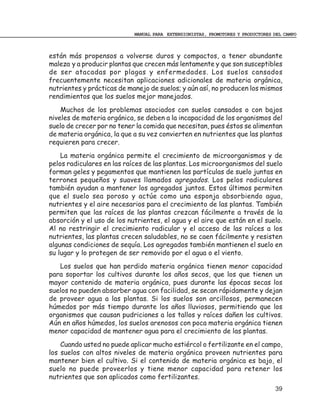 MANUAL PARA EXTENSIONISTAS, PROMOTORES Y PRODUCTORES DEL CAMPO



están más propensos a volverse duros y compactos, a tener abundante
maleza y a producir plantas que crecen más lentamente y que son susceptibles
de ser atacadas por plagas y enfermedades. Los suelos cansados
frecuentemente necesitan aplicaciones adicionales de materia orgánica,
nutrientes y prácticas de manejo de suelos; y aún así, no producen los mismos
rendimientos que los suelos mejor manejados.
    Muchos de los problemas asociados con suelos cansados o con bajos
niveles de materia orgánica, se deben a la incapacidad de los organismos del
suelo de crecer por no tener la comida que necesitan, pues éstos se alimentan
de materia orgánica, la que a su vez convierten en nutrientes que las plantas
requieren para crecer.
    La materia orgánica permite el crecimiento de microorganismos y de
pelos radiculares en las raíces de las plantas. Los microorganismos del suelo
forman geles y pegamentos que mantienen las partículas de suelo juntas en
terrones pequeños y suaves llamados agregados. Los pelos radiculares
también ayudan a mantener los agregados juntos. Estos últimos permiten
que el suelo sea poroso y actúe como una esponja absorbiendo agua,
nutrientes y el aire necesarios para el crecimiento de las plantas. También
permiten que las raíces de las plantas crezcan fácilmente a través de la
absorción y el uso de los nutrientes, el agua y el aire que están en el suelo.
Al no restringir el crecimiento radicular y el acceso de las raíces a los
nutrientes, las plantas crecen saludables, no se caen fácilmente y resisten
algunas condiciones de sequía. Los agregados también mantienen el suelo en
su lugar y lo protegen de ser removido por el agua o el viento.
   Los suelos que han perdido materia orgánica tienen menor capacidad
para soportar los cultivos durante los años secos, que los que tienen un
mayor contenido de materia orgánica, pues durante las épocas secas los
suelos no pueden absorber agua con facilidad, se secan rápidamente y dejan
de proveer agua a las plantas. Si los suelos son arcillosos, permanecen
húmedos por más tiempo durante los años lluviosos, permitiendo que los
organismos que causan pudriciones a los tallos y raíces dañen los cultivos.
Aún en años húmedos, los suelos arenosos con poca materia orgánica tienen
menor capacidad de mantener agua para el crecimiento de las plantas.
    Cuando usted no puede aplicar mucho estiércol o fertilizante en el campo,
los suelos con altos niveles de materia orgánica proveen nutrientes para
mantener bien el cultivo. Si el contenido de materia orgánica es bajo, el
suelo no puede proveerlos y tiene menor capacidad para retener los
nutrientes que son aplicados como fertilizantes.
                                                                                 39
 