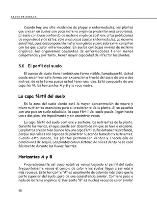 SALUD DE SUELOS



        Cuando hay una alta incidencia de plagas o enfermedades, las plantas
    que crecen en suelos con poca materia orgánica presentan más problemas.
    El suelo con buen contenido de materia orgánica sostiene altas poblaciones
    de organismos y de éstos, sólo unos pocos causan enfermedades. La mayoría
    son útiles, pues descomponen la materia orgánica y para sobrevivir compiten
    con los que causan enfermedades. En suelos con bajos niveles de materia
    orgánica, los organismos causantes de enfermedades tienen menos
    competencia y por tanto, tienen mayor capacidad de infectar las plantas.


    5.6 El perfil del suelo
       El cuerpo del suelo tiene también una forma visible, llamada perfil. Usted
    puede encontrar esta forma por excavación a través del suelo de uno a dos
    metros, de esta forma puede usted tener una idea. Está compuesto de una
    capa fértil, los horizontes A y B y la roca madre.


    La capa fértil del suelo
       Es la zona del suelo donde está la mayor concentración de macro y
    micro nutrientes esenciales para el crecimiento de la planta. Si se escarba
    con una pala un suelo saludable, la capa fértil del suelo puede llegar hasta
    uno o dos pies, sin impedimento y sin encontrar rocas.
        La capa fértil del suelo contiene y sostiene los nutrientes de la planta.
    Durante las lluvias, el agua puede ser absorbida sin que se lave o erosione.
    Las plantas crecen bien cuando hay una capa fértil suficientemente profunda,
    porque sus raíces son capaces de penetrar buscando humedad y nutrientes.
    Cuando esto sucede, las plantas permanecen verdes y crecen aún en
    condiciones de sequía. Las plantas con un sistema de raíces denso no se caen
    fácilmente durante las lluvias fuertes.


    Horizontes A y B
       Progresivamente así como nosotros vamos bajando el perfil del suelo
    frecuentemente vemos el cambio de color y los suelos llegan a ser más y
    más rocosos. Este horizonte “A” es usualmente de colorido más claro que la
    parte superior del suelo, pero de una consistencia similar. Contiene poco o
    nada de materia orgánica. El horizonte “B” es muchas veces de color similar


    40
 