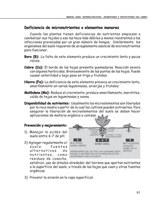 MANUAL PARA EXTENSIONISTAS, PROMOTORES Y PRODUCTORES DEL CAMPO



Deficiencia de micronutrientes o elementos menores
    Cuando las plantas tienen deficiencias de nutrientes empiezan a
canibalizar sus tejidos y eso las hace más débiles y menos resistentes a las
infecciones provocadas por un gran número de hongos. Similarmente los
organismos del suelo requieren de un suplemento esencial de micronutrientes
para funcionar.
Boro (B): La falta de este elemento produce un crecimiento lento y pocas
   raíces.
Cobre (Cu): El borde de las hojas presenta quemaduras. Reacción severa
   con algunos herbicidas. Bronceamiento de las puntas de las hojas. Puede
   causar esterilidad y bajo peso en trigo y frutales.
Hierro (Fe): La deficiencia de este elemento provoca un crecimiento lento,
   amarillamiento en varias leguminosas, arverjas y frutales
Molibdeno (Mo): Reduce el crecimiento, produce amarillamiento, marchitez,
   caída de hojas en leguminosas y avena.
Disponibilidad de nutrientes: Usualmente los microelementos son liberados
   por la roca madre a partir de la cual los cultivos pueden extraerlos. Para
   asegurar la liberación de microelementos del suelo se deben hacer
   aplicaciones de materia orgánica o cenizas.

Prevención y mejoramiento:
1) Manejar la acidez del
   suelo entre 6-7 de pH.
2) Agregar regularmente a l
    suelo         fuentes
    alternativas          de
    nutrientes, como
    residuos de cosecha,
    estiércol, uso de árboles alrededor del terreno que aportan nutrientes
    a la superficie del suelo, a través de las hojas que caen y otras fuentes
    orgánicas.
3) Prevenir la erosión en la capa superficial.



                                                                                 61
 
