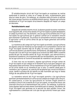 SALUD DE SUELOS



        El establecimiento inicial del frijol terciopelo en ocasiones se realiza
    sembrando la semilla al voleo en el campo de maíz, evidentemente para
    ahorrar mano de obra. Sin embargo, se considera más eficiente el método
    del chuzo porque favorece un establecimiento parejo. Algunos agricultores
    establecen el frijol terciopelo directamente después de limpiar un campo
    en descanso.
         Restablecimiento anual
        Después del establecimiento inicial, la abonera puede necesitar resiembra
    en el siguiente año, en los sitios donde el frijol terciopelo no pobló densamente
    el campo la primera vez. No obstante, una vez que se ha establecido el frijol
    terciopelo los agricultores por lo general confían en la resiembra natural
    para mantener la población. Se produce la autosiembra natural a menos que
    el agricultor corte el cultivo antes de que se hayan generado suficientes
    vainas maduras.
        La resistencia del campo de frijol terciopelo es notable. Los agricultores
    de algunas zonas de Honduras se han basado en la autosiembra natural del
    frijol terciopelo durante más de 15 años, sin nunca volver a sembrar sus
    cultivos de abonera con semilla nueva. EnHonduras, aún después del marcado
    fracaso del ciclo del frijol terciopelo en el invierno de 1993-1994, la semilla
    producida por las escasas matas de frijol terciopelo, que sobrevivieron y
    alcanzaron la madurez, en el siguiente año fue tan abundante, que la mayoría
    de los agricultores no tuvieron necesidad de resembrar sus parcelas.
        Si bien rara vez es necesario, algunos agricultores arrojan vainas de
    frijol terciopelo en sus campos en el momento de la roza para asegurar que
    haya poblaciones uniformes. Otros resiembran el frijol terciopelo más tarde,
    en los sitios donde no se restableció por sí solo. La semilla usada para la
    resiembra, por lo general, se cosecha de las plantas que crecen en árboles o
    rocas, donde la producción de semilla es más favorable que bajo el denso
    follaje de una población de frijol terciopelo.
        La resiembra natural del frijol terciopelo permite a los agricultores
    mantener permanentemente el cultivo en sus campos sin ningún costo directo.
    En consecuencia, si bien los agricultores no reciben ningún beneficio
    económico directo de la semilla de frijol terciopelo, no necesitan hacer una
    inversión directa en el mantenimiento del cultivo. Sin embargo, la práctica
    tiene algunas implicaciones menos favorables para el manejo, las plantas de
    frijol terciopelo que germinan en la parcela de maíz pueden crecer tan
    vigorosamente a comienzos del ciclo que los agricultores tienen que ralear

    70
 