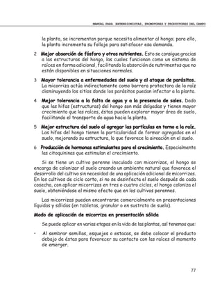 MANUAL PARA EXTENSIONISTAS, PROMOTORES Y PRODUCTORES DEL CAMPO



    la planta, se incrementan porque necesita alimentar al hongo; para ello,
    la planta incrementa su follaje para satisfacer esa demanda.
2 Mejor absorción de fósforo y otros nutrientes. Esto se consigue gracias
    a las estructuras del hongo, las cuales funcionan como un sistema de
    raíces en forma adicional, facilitando la absorción de nutrimentos que no
    están disponibles en situaciones normales.
3   Mayor tolerancia a enfermedades del suelo y al ataque de parásitos.
    La micorriza actúa indirectamente como barrera protectora de la raíz
    disminuyendo los sitios donde los parásitos puedan infectar a la planta.
4   Mejor tolerancia a la falta de agua y a la presencia de sales. Dado
    que las hifas (estructuras) del hongo son más delgadas y tienen mayor
    crecimiento que las raíces, éstas pueden explorar mayor área de suelo,
    facilitando el transporte de agua hacia la planta.
5   Mejor estructura del suelo al agregar las partículas en torno a la raíz.
    Las hifas del hongo tienen la particularidad de formar agregados en el
    suelo, mejorando su estructura, lo que favorece la aireación en el suelo.
6 Producción de hormonas estimulantes para el crecimiento. Especialmente
    las citoquininas que estimulan el crecimiento.
    Si se tiene un cultivo perenne inoculado con micorrizas, el hongo se
encarga de colonizar el suelo creando un ambiente natural que favorece el
desarrollo del cultivo sin necesidad de una aplicación adicional de micorrizas.
En los cultivos de ciclo corto, si no se desinfecta el suelo después de cada
cosecha, con aplicar micorrizas en tres o cuatro ciclos, el hongo coloniza el
suelo, obteniéndose el mismo efecto que en los cultivos perennes.
    Las micorrizas pueden encontrarse comercialmente en presentaciones
líquidas y sólidas (en tabletas, granular o en sustrato de suelo).
Modo de aplicación de micorriza en presentación sólida
    Se puede aplicar en varias etapas en la vida de las plantas, así tenemos que:
•   Al sembrar semillas, esquejes o estacas, se debe colocar el producto
    debajo de éstas para favorecer su contacto con las raíces al momento
    de emerger.




                                                                                  77
 