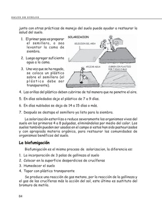 SALUD DE SUELOS



    junto con otras prácticas de manejo del suelo puede ayudar a restaurar la
    salud del suelo.
     1. El primer paso es preparar
        el semillero, o sea
        levantar la cama de
        siembra.
     2. Luego agregar suficiente
        agua a la cama.
     3. Una vez que se ha regado,
        se coloca un plástico
        sobre el semillero (el
        p l á s t i c o debe ser
        transparente).
    4. Las orillas del plástico deben cubrirse de tal manera que no penetre el aire.
    5. En días soledados deje el plástico de 7 a 9 días.
    6. En días nublados se deja de 14 a 15 días o más.
    7. Después se destapa el semillero ya listo para la siembra.
        La solarización esteriliza o reduce severamente los organismos vivos del
    suelo en los primeros 4 a 8 pulgadas, eliminándolos por medio del calor. Los
    suelos también pueden ser usados en el campo si estos han sido pasteurizados
    y con apropiada materia orgánica, para restaurar las comunidades de
    organismos benéficos del suelo.

    La biofumigación
         Biofumigación es el mismo proceso de solarizacion, la diferencia es:
    1. La incorporación de 3 palas de gallinaza al suelo
    2. Colocar en la superficie desperdicios de crucíferas
    3. Humedecer el suelo
    4. Tapar con plástico transparente
        Se produce una reacción de gas metano, por la reacción de la gallinaza y
    el gas de las crucíferas más la acción del sol, este último es sustituto del
    bromuro de metilo.


    84
 