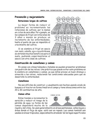 MANUAL PARA EXTENSIONISTAS, PROMOTORES Y PRODUCTORES DEL CAMPO



Prevención y mejoramiento
   Rotaciones largas de cultivos
    La mejor forma de reducir el
problema es incrementando las
rotaciones de cultivos, por lo menos
en ciclos de seis años. Por ejemplo, en
los campos de frijol con rotaciones de
3 años o menos se produce un
incremento de las enfermedades,
hasta el punto de que es imposible el
crecimiento del cultivo.
    Si se siembra el frijol en asocio
con: maíz, cebolla, ajo o cucurbitáceas
se obtienen muchos beneficios para el
suelo, pudiendo experimentarse el
asocio con otra clase de cultivos.

Construcción de camellones y camas
    En zonas con climas húmedos o helados se pueden presentar problemas
con pudrición de las raíces. Una práctica que puede evitar este problema es
la siembra en camellones o camas, ya que éstas provee un buen drenaje y
aireación a las raíces, reduciendo las condiciones adecuadas para que se
desarrolle la enfermedad.
   Camellones
   No son difíciles de construir, y usualmente son hechos usando arado de
bueyes o el tractor en forma lineal en el campo y tiene elevaciones entre los
20 a 30 centímetros de alto.
   Camas altas
   Estas tienden a incrementar la
aeración y reducir el riesgo de la
pérdida de agua. La forma de las
camas dependerá mucho de la
región y del clima. Se usan generalmente en áreas pantanosas, valles bajos y
áreas donde el flujo de agua está casi en reposo. Las camas también son
usadas en áreas tropicales, especialmente alrededor de los lagos superficiales

                                                                                 85
 