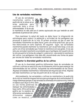 MANUAL PARA EXTENSIONISTAS, PROMOTORES Y PRODUCTORES DEL CAMPO



Uso de variedades resistentes
    El uso de variedades
resistentes contra la
pudrición de la raíces es un
arma poderosa para
controlar ésta y otras
enfermedades. Si no se usa
la resistencia no sólo está en el camino equivocado sino que también se está
perdiendo el potencial del cultivo.
    Para mantener la salud del suelo se debe hacer la integración de
estrategias para reducir la población y actividad de los patógenos que
provocan la pudrición de la raíz. El primer principio es que al usar las
variedades resistentes se debe hacer junto con otras prácticas, que ya se
han mencionado en este Capítulo. En segundo lugar, las variedades
resistentes pueden mantener su resistencia por un período largo, si se usa
junto con otras variedades que tienen la resistencia en sus genes. Si se usa
sola una variedad resistente es probable que el patógeno de la pudrición de
la raíz encuentre la forma de competir y sobrevivir, venciendo la resistencia
del cultivo. Los patógenos irían más allá, encontrando una forma de pasar
por encima de todas las variedades resistentes.
   Aumentar la diversidad genética de los cultivos
    El uso de la diversidad genética (diferentes tipos de variedades de
cultivos o cultivos en asocio) es una vía altamente efectiva para manejar las
enfermedades de los cultivos, incluyendo las enfermedades de las raíces.
Algunas variedades resistentes o tolerantes son mejores que otras. Algunas
son más resistentes a un tipo de pudrición de la raíz que otras.
    Adicionalmente, las variedades o cultivos no resistentes a la pudrición
de la raíz no tendrían ninguna barrera para protegerse de la enfermedad. El
riesgo disminuye porque si una variedad es eliminada otra sobrevivirá y tomará
el espacio que deje la otra. Esta
es una forma poderosa de
manejar las enfermedades a
bajo costo. Otra estrategia
podría ser la siembra de
diferentes variedades en
diferentes campos
como un mosaico, y

                                                                                 87
 
