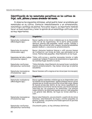 SALUD DE SUELOS



    Identificación de los nematodos parasíticos en los cultivos de
    frijol, café, plátano y banano alrededor del mundo.
       Si observa los siguientes síntomas, usted podría tener un problema por
    nematodos en su cultivo. Contacte inmediatamente a un extensionista,
    nematólogo o patólogo de plantas. Para estar seguro, es importante también
    hacer un buen muestreo y tener la opinión de un nematólogo calificado, esto
    es muy importantes.

    Frijol                      Diagnóstico

    Nematodos noduladores       Buscar agallas en las raíces o nódulos que no se desprendan
    (Meloidogyne spp.)          como los de las leguminosas. En la parte aérea pueden
                                aparecer plantas más pequeñas, menos verdes, blandas o
                                aguadas. Bajo estrés de calor o sequía, las plantas saludables
                                pueden madurar y oscurecerse prematuramente.

    Nematodos de quistes        Buscar diminutas hembras blancas o café oscuras (menos
    (Heterodera spp.)           de 1 milímetro), con forma de limón, que sobresalen en las
                                raíces. Plantas más pequeñas. Amarillamiento en las hojas.

    Nematodos del tallo y bulbos Tallos café–rojizos o semillas lesionadas (similar al daño
    (Ditylenchus dipsaci)        causado por hongos). Presencia de nematodos en el agua sobre
                                 las semillas/hojas durante la noche.

    Nematodos reniformes        Tallos dilatados. Amarillamiento de nuevas hojas. Las plantas
    (Rotylenchus reniformis)    mueren prematuramente. Hay menos raíces que en plantas
                                saludables.

    Nematodos lesionadores      Buscar lesiones café a negras en las raíces (usar microscopio).
    (Pratylenchus spp.)

    Café                        Diagnóstico

    Nematodos noduladores       Buscar agallas redondas o nódulos que no se desprendan como
    (Meloidogyne spp.)          los nódulos de las leguminosas- agallas blanquecinas en raíces
                                jóvenes que se tornan oscuras en las raíces más viejas. Masas
                                de huevos producidas dentro de las raíces (usualmente no
                                producidas en el exterior de las raíces). Las raíces laterales
                                inducidas por las presencia de nematodos. Las plantas
                                (especialmente las plántulas) pueden parecer más pequeñas
                                y en general más débiles, las hojas se tornan amarillas y
                                caen.

    Nematodos lesionadores      Buscar amarillamiento, oscurecimiento o pudrición de raíces
    (Pratylenchus spp)          laterales; amarillamiento de hojas y brotes pequeños en
                                plantas jóvenes. Las plantas afectadas aparecen en parches
                                de la plantación.

    Nematodos reniformes        Crecimiento pobre, no hay síntomas distintivos.
    (Rotylenchus reniformis)

    90
 
