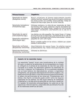 MANUAL PARA EXTENSIONISTAS, PROMOTORES Y PRODUCTORES DEL CAMPO




Plátanos/bananos           Diagnóstico

Nematodos de túneles       Buscar volcamiento de plantas (especialmente durante
(Radopholus similis)       vientos fuertes); lesiones rojo oscuro en la parte interna de
                           las raíces (cortar con cuchillo); raíces podridas; tiempo de
                           maduración más largos; peso de racimo reducido.

Nematodos lesionadores     Síntomas similares a la infección por nematodos de túnel;
(Pratylenchus spp)         las lesiones café rojizas, púrpuras o negras; las plantas son
                           más pequeñas; hay menos hojas; tiempos de fructificación
                           más largos; volcamiento; acortamiento de la vida de la
                           plantación.

Nematodos de espiral       Las plantas son más pequeñas; hay menos hojas; el tiempo
(Helicotylenchus spp.)     de fructificación es más largo; acortamiento de la vida de
                           la plantación; volcamiento bajo infestaciones densas; lesiones
Nematodos noduladores      pequeñas de color café rojizo.
(Meloidogyne spp.)
                           Buscar grandes agallas en las raíces o nódulos que causan
                           bandas o distorsiones.

Nematodos reniformes       Amarillamiento de nuevas hojas; las plantas mueren
(Rotylenchus reniformis)   prematuramente; hay menos raíces que en plantas sanas.

Nematodos Reniformes       Síntomas no distintivos.
(Rotylenchus reniformis)



       Aumento de los nematodos buenos

       Los nematodos “buenos” sirven como bioindicadores de la vitalidad
       del suelo. La salud de las poblaciones de microorganismos en el suelo
       se reflejará en el estado de los nematodos de vida libre que están
       creciendo en el mismo. Es importante aumentar los nematodos de
       vida libre y disminuir los fitoparásitos. En un ecosistema saludable
       con un buen balance de depredadores, presas y organismos
       antagónistas, una apropiada descomposición de materia orgánica, una
       buena estructura del suelo y ciclos intactos de procesos de nutrientes;
       el número de perforaciones de las raíces por fitonematodos será
       mínimo. Una fuerte correlación puede existir entre las mejores
       respuestas de las plantas, los más bajos números de nematodos
       fitoparásitos, y los más altos de nematodos de vida libre o benéficos.
       Por ejemplo, los nematodos entomopatógenos, los cuales son un tipo
       especial que infectan insectos, comprenden sólo una diminuta fracción
       de los nematodos benéficos del suelo.




                                                                                      91
 