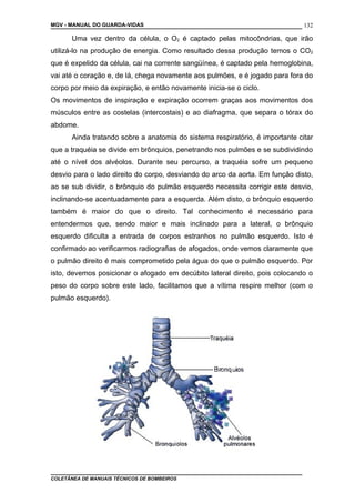 MGV - MANUAL DO GUARDA-VIDAS
Uma vez dentro da célula, o O2 é captado pelas mitocôndrias, que irão
utilizá-lo na produção de energia. Como resultado dessa produção temos o CO2
que é expelido da célula, cai na corrente sangüínea, é captado pela hemoglobina,
vai até o coração e, de lá, chega novamente aos pulmões, e é jogado para fora do
corpo por meio da expiração, e então novamente inicia-se o ciclo.
Os movimentos de inspiração e expiração ocorrem graças aos movimentos dos
músculos entre as costelas (intercostais) e ao diafragma, que separa o tórax do
abdome.
Ainda tratando sobre a anatomia do sistema respiratório, é importante citar
que a traquéia se divide em brônquios, penetrando nos pulmões e se subdividindo
até o nível dos alvéolos. Durante seu percurso, a traquéia sofre um pequeno
desvio para o lado direito do corpo, desviando do arco da aorta. Em função disto,
ao se sub dividir, o brônquio do pulmão esquerdo necessita corrigir este desvio,
inclinando-se acentuadamente para a esquerda. Além disto, o brônquio esquerdo
também é maior do que o direito. Tal conhecimento é necessário para
entendermos que, sendo maior e mais inclinado para a lateral, o brônquio
esquerdo dificulta a entrada de corpos estranhos no pulmão esquerdo. Isto é
confirmado ao verificarmos radiografias de afogados, onde vemos claramente que
o pulmão direito é mais comprometido pela água do que o pulmão esquerdo. Por
isto, devemos posicionar o afogado em decúbito lateral direito, pois colocando o
peso do corpo sobre este lado, facilitamos que a vítima respire melhor (com o
pulmão esquerdo).
COLETÂNEA DE MANUAIS TÉCNICOS DE BOMBEIROS
132
 