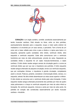 MGV - MANUAL DO GUARDA-VIDAS
CORAÇÃO é um órgão cavitário, contrátil, constituído essencialmente por
tecido muscular cardíaco. Está situado no tórax, entre os dois pulmões,
acentuadamente desviado para a esquerda; ocupa a maior parte anterior do
mediastino e é envolvido por um saco seroso, o pericárdio. Tem a forma de um
cone com a base voltada para cima e para a direita e o ápice para baixo e à
esquerda, apresenta quatro cavidades: átrio direito, ventrículo direito, átrio
esquerdo e ventrículo esquerdo. Cada átrio comunica-se com o ventrículo
homônimo por meio do óstio atrioventricular, provido de valva. Separando as
cavidades direita e esquerda há um septo músculo-membranoso, o septo
cardíaco. O átrio direito recebe sangue venoso da circulação geral e o envia ao
ventrículo direito que por sua vez o impulsiona aos pulmões. O átrio esquerdo
recebe sangue arterizado da pequena circulação; envia-o ao ventrículo esquerdo,
que por contrações rítmicas, o impulsiona à grande circulação, completando
assim o circuito. Pode-se, portanto, considerar o hemicoração direito, venoso, e o
esquerdo, arterial. No átrio direito desembocam as veias cavas superior e inferior.
O átrio direito se comunica com o ventrículo direito pela valva tricúspide. O átrio
esquerdo recebe sangue arterizado proveniente dos pulmões por meio de quatro
veias pulmonares e o lança no ventrículo esquerdo por meio da valva mitral ou
bicúspide. No ventrículo esquerdo, inicia-se a aorta por meio da valva aorta. As
paredes do coração são constituídas essencialmente por tecido muscular
cardíaco - miocárdio.
COLETÂNEA DE MANUAIS TÉCNICOS DE BOMBEIROS
134
 