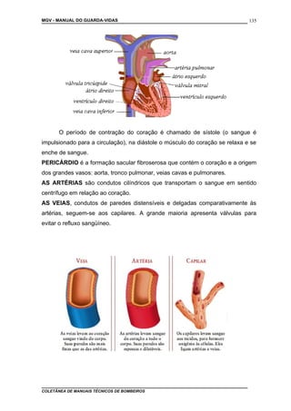 MGV - MANUAL DO GUARDA-VIDAS
O período de contração do coração é chamado de sístole (o sangue é
impulsionado para a circulação), na diástole o músculo do coração se relaxa e se
enche de sangue.
PERICÁRDIO é a formação sacular fibroserosa que contém o coração e a origem
dos grandes vasos: aorta, tronco pulmonar, veias cavas e pulmonares.
AS ARTÉRIAS são condutos cilíndricos que transportam o sangue em sentido
centrífugo em relação ao coração.
AS VEIAS, condutos de paredes distensíveis e delgadas comparativamente às
artérias, seguem-se aos capilares. A grande maioria apresenta válvulas para
evitar o refluxo sangüíneo.
COLETÂNEA DE MANUAIS TÉCNICOS DE BOMBEIROS
135
 