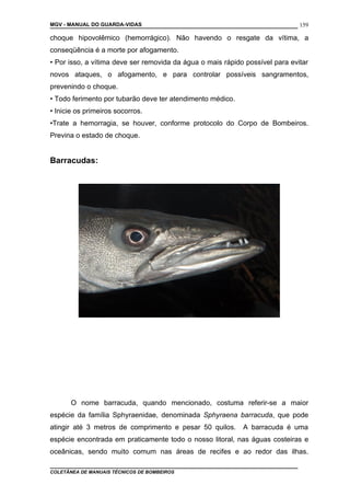 MGV - MANUAL DO GUARDA-VIDAS
choque hipovolêmico (hemorrágico). Não havendo o resgate da vítima, a
conseqüência é a morte por afogamento.
• Por isso, a vítima deve ser removida da água o mais rápido possível para evitar
novos ataques, o afogamento, e para controlar possíveis sangramentos,
prevenindo o choque.
• Todo ferimento por tubarão deve ter atendimento médico.
• Inicie os primeiros socorros.
•Trate a hemorragia, se houver, conforme protocolo do Corpo de Bombeiros.
Previna o estado de choque.
Barracudas:
O nome barracuda, quando mencionado, costuma referir-se a maior
espécie da família Sphyraenidae, denominada Sphyraena barracuda, que pode
atingir até 3 metros de comprimento e pesar 50 quilos. A barracuda é uma
espécie encontrada em praticamente todo o nosso litoral, nas águas costeiras e
oceânicas, sendo muito comum nas áreas de recifes e ao redor das ilhas.
COLETÂNEA DE MANUAIS TÉCNICOS DE BOMBEIROS
159
 
