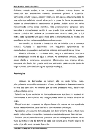 MGV - MANUAL DO GUARDA-VIDAS
Solitárias quando adultas e em pequenos cardumes quando jovens, as
barracudas são encontradas nadando ativamente próximo à superfície.
Carnívoras e muito vorazes, atacam velozmente com apenas alguns impulsos de
sua poderosa nadadeira caudal, alcançando a presa de forma surpreendente.
Apesar de alimentarem-se basicamente de peixes, podem atacar de forma
indiscriminada outros seres marinhos. São potencialmente perigosas para
banhistas e mergulhadores devido à sua grande boca provida de enormes
caninos pontudos. Um cardume de barracudas com tamanho médio, de 1 a 1,5
metro, pode representar um grande risco para os mergulhadores, na medida em
que elas se sentem mais encorajadas quando em grupo.
Ao contrário do tubarão, a barracuda não se intimida com a presença
humana. Curiosas e destemidas, com freqüência aproximam-se de
mergulhadores e pescadores submarinos, podendo acompanhá-los por horas.
Objetos brilhantes ou com cores vivas, sangue e movimentos bruscos e
sem coordenação dentro da água a atraem. Ao sentirem-se atraídas, podem
atacar rápida e ferozmente, provocando dilacerações que, mesmo sérias,
raramente são fatais. Um grande espécime, entretanto, pode amputar parte do
corpo humano, como atestam alguns registros de ataque.
Prevenção
Ataques de barracudas ao homem são, de certa forma, raros,
principalmente se considerarmos que o número e a freqüência de encontros entre
os dois são bem altos. No entanto, por ser uma predadora voraz, deve-se ter
certos cuidados, como:
• Estando em águas habitadas por barracudas deve-se agir de modo a não atrair
seu interesse e, em especial, não carregar peixes feridos ou mortos ao redor do
corpo.
• Mergulhando em companhia de alguma barracuda, apesar de sua aparência
muitas vezes inofensiva, deve-se tratá-la com respeito e precaução.
• Aparecendo um cardume de barracudas com bom tamanho deve-se ficar mais
atento, redobrando a precaução e mantendo uma distância segura das mesmas.
• Tanto os pescadores submarinos quanto os pescadores esportivos devem tomar
muito cuidados no ato de dominá-las após sua captura, pois, mesmo depois de
muita briga, são ainda capazes de morder.
COLETÂNEA DE MANUAIS TÉCNICOS DE BOMBEIROS
160
 