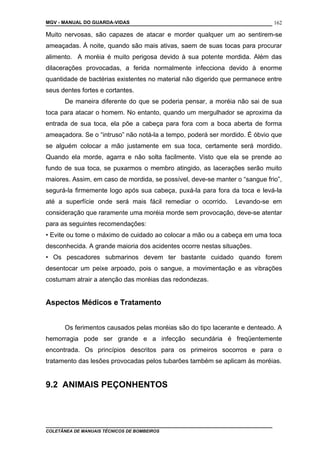 MGV - MANUAL DO GUARDA-VIDAS
Muito nervosas, são capazes de atacar e morder qualquer um ao sentirem-se
ameaçadas. À noite, quando são mais ativas, saem de suas tocas para procurar
alimento. A moréia é muito perigosa devido à sua potente mordida. Além das
dilacerações provocadas, a ferida normalmente infecciona devido à enorme
quantidade de bactérias existentes no material não digerido que permanece entre
seus dentes fortes e cortantes.
De maneira diferente do que se poderia pensar, a moréia não sai de sua
toca para atacar o homem. No entanto, quando um mergulhador se aproxima da
entrada de sua toca, ela põe a cabeça para fora com a boca aberta de forma
ameaçadora. Se o “intruso” não notá-la a tempo, poderá ser mordido. É óbvio que
se alguém colocar a mão justamente em sua toca, certamente será mordido.
Quando ela morde, agarra e não solta facilmente. Visto que ela se prende ao
fundo de sua toca, se puxarmos o membro atingido, as lacerações serão muito
maiores. Assim, em caso de mordida, se possível, deve-se manter o “sangue frio”,
segurá-la firmemente logo após sua cabeça, puxá-la para fora da toca e levá-la
até a superfície onde será mais fácil remediar o ocorrido. Levando-se em
consideração que raramente uma moréia morde sem provocação, deve-se atentar
para as seguintes recomendações:
• Evite ou tome o máximo de cuidado ao colocar a mão ou a cabeça em uma toca
desconhecida. A grande maioria dos acidentes ocorre nestas situações.
• Os pescadores submarinos devem ter bastante cuidado quando forem
desentocar um peixe arpoado, pois o sangue, a movimentação e as vibrações
costumam atrair a atenção das moréias das redondezas.
Aspectos Médicos e Tratamento
Os ferimentos causados pelas moréias são do tipo lacerante e denteado. A
hemorragia pode ser grande e a infecção secundária é freqüentemente
encontrada. Os princípios descritos para os primeiros socorros e para o
tratamento das lesões provocadas pelos tubarões também se aplicam às moréias.
9.2 ANIMAIS PEÇONHENTOS
COLETÂNEA DE MANUAIS TÉCNICOS DE BOMBEIROS
162
 