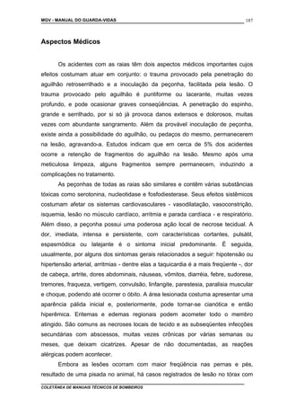 MGV - MANUAL DO GUARDA-VIDAS
Aspectos Médicos
Os acidentes com as raias têm dois aspectos médicos importantes cujos
efeitos costumam atuar em conjunto: o trauma provocado pela penetração do
aguilhão retroserrilhado e a inoculação da peçonha, facilitada pela lesão. O
trauma provocado pelo aguilhão é puntiforme ou lacerante, muitas vezes
profundo, e pode ocasionar graves conseqüências. A penetração do espinho,
grande e serrilhado, por si só já provoca danos extensos e dolorosos, muitas
vezes com abundante sangramento. Além da provável inoculação de peçonha,
existe ainda a possibilidade do aguilhão, ou pedaços do mesmo, permanecerem
na lesão, agravando-a. Estudos indicam que em cerca de 5% dos acidentes
ocorre a retenção de fragmentos do aguilhão na lesão. Mesmo após uma
meticulosa limpeza, alguns fragmentos sempre permanecem, induzindo a
complicações no tratamento.
As peçonhas de todas as raias são similares e contêm várias substâncias
tóxicas como serotonina, nucleotidase e fosfodiesterase. Seus efeitos sistêmicos
costumam afetar os sistemas cardiovasculares - vasodilatação, vasoconstrição,
isquemia, lesão no músculo cardíaco, arritmia e parada cardíaca - e respiratório.
Além disso, a peçonha possui uma poderosa ação local de necrose tecidual. A
dor, imediata, intensa e persistente, com características cortantes, pulsátil,
espasmódica ou latejante é o sintoma inicial predominante. É seguida,
usualmente, por alguns dos sintomas gerais relacionados a seguir: hipotensão ou
hipertensão arterial, arritmias - dentre elas a taquicardia é a mais freqüente -, dor
de cabeça, artrite, dores abdominais, náuseas, vômitos, diarréia, febre, sudorese,
tremores, fraqueza, vertigem, convulsão, linfangite, parestesia, paralisia muscular
e choque, podendo até ocorrer o óbito. A área lesionada costuma apresentar uma
aparência pálida inicial e, posteriormente, pode tornar-se cianótica e então
hiperêmica. Eritemas e edemas regionais podem acometer todo o membro
atingido. São comuns as necroses locais de tecido e as subseqüentes infecções
secundárias com abscessos, muitas vezes crônicas por várias semanas ou
meses, que deixam cicatrizes. Apesar de não documentadas, as reações
alérgicas podem acontecer.
Embora as lesões ocorram com maior freqüência nas pernas e pés,
resultado de uma pisada no animal, há casos registrados de lesão no tórax com
COLETÂNEA DE MANUAIS TÉCNICOS DE BOMBEIROS
187
 