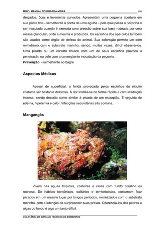MGV - MANUAL DO GUARDA-VIDAS
delgados, ôcos e levemente curvados. Apresentam uma pequena abertura em
sua ponta fina - semelhante à ponta de uma agulha - pela qual passa a peçonha a
ser inoculada quando é exercida uma pressão sobre sua base rodeada por uma
massa glandular, onde a mesma é produzida. Os espinhos dos opérculos também
são usados como órgão de defesa do animal. Sua coloração permite um bom
mimetismo com o substrato marinho, sendo, muitas vezes, difícil observá-los.
Uma pisada ou um contato brusco com um de seus espinhos provoca a
penetração na pele com a conseqüente inoculação da peçonha.
Prevenção - semelhante ao bagre
Aspectos Médicos
Apesar de superficial, a ferida provocada pelos espinhos do niquim
costuma ser bastante dolorosa. A dor instala-se de forma rápida e com irradiação
intensa, sendo descrita como similar à picada de um escorpião. É seguida de
edema, hiperemia e calor. Infecções secundárias são comuns.
Mangangás
Vivem nas águas tropicais, costeiras e rasas com fundo coralino ou
rochoso. De hábitos bentônicos, solitários e territorialistas, costumam ficar
parados em um mesmo lugar por longos períodos, mimetizados com o substrato
marinho, com a intenção de surpreender suas presas. Diferenciá-los das pedras e
algas do fundo é algo um tanto difícil.
COLETÂNEA DE MANUAIS TÉCNICOS DE BOMBEIROS
190
 