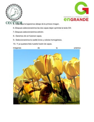 5.- Esta capa la bajaremos debajo de la primera imagen.

6.-Despues seleccionaremos las dos capas dejan oprimida la tecla Ctrl.

7.-Despues seleccionaremos edición.

8.- Daremos clic en fusionar capas.

9.- Seleccionaremos la casilla tonos y colores homogéneos.

10.- Y ya quedara lista nuestra fusión de capas.

Imágenes                      de                   la                    práctica:
 