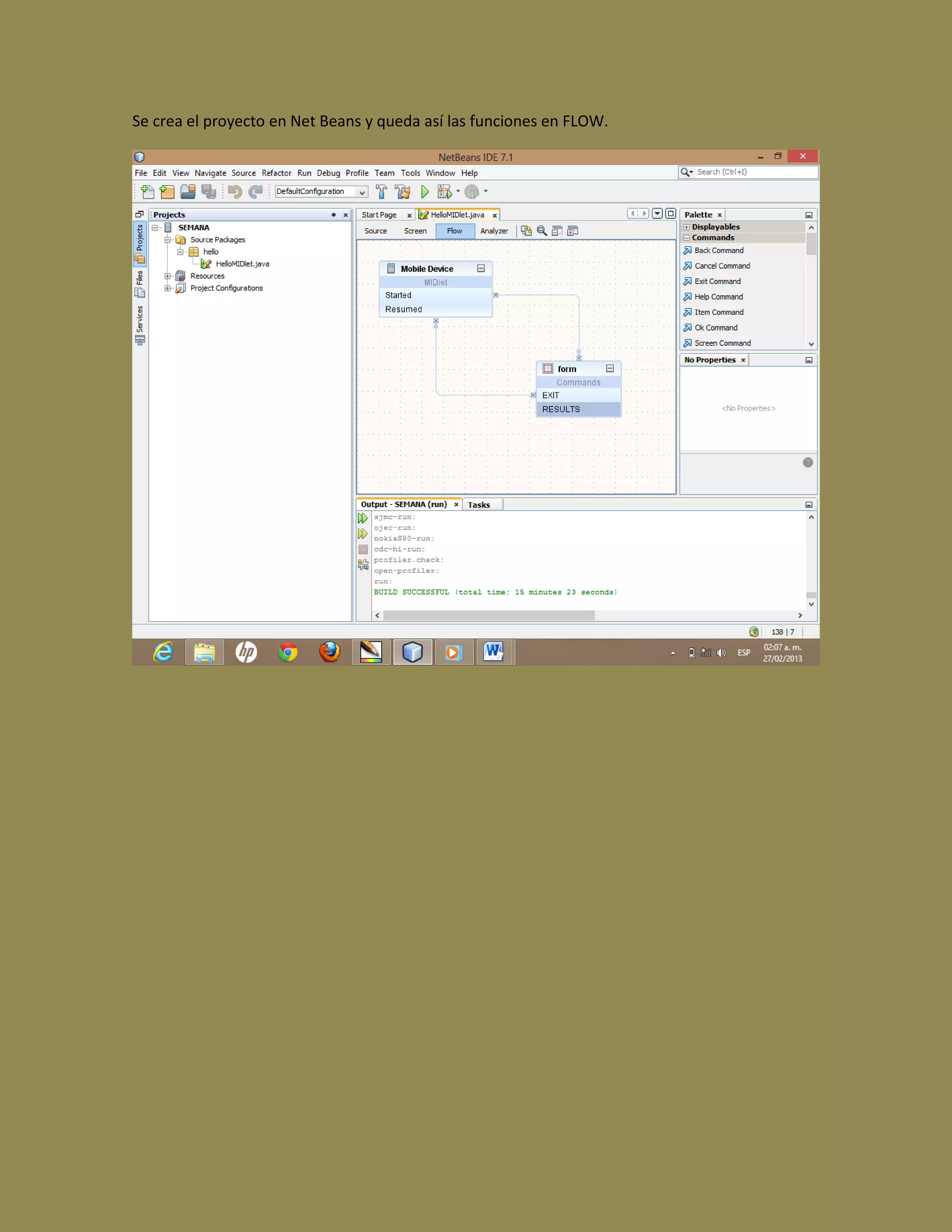 Se crea el proyecto en Net Beans y queda así las funciones en FLOW.
 