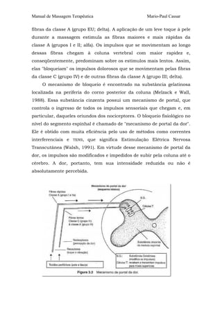 Manual de Massagem Terapêutica Mario-Paul Cassar 
fibras da classe A (grupo EU; delta). A aplicação de um leve toque à pele 
durante a massagem estimula as fibras maiores e mais rápidas da 
classe A (grupos I e II; alfa). Os impulsos que se movimentam ao longo 
dessas fibras chegam à coluna vertebral com maior rapidez e, 
conseqüentemente, predominam sobre os estímulos mais lentos. Assim, 
elas "bloqueiam" os impulsos dolorosos que se movimentam pelas fibras 
da classe C (grupo IV) e de outras fibras da classe A (grupo III; delta). 
O mecanismo de bloqueio é encontrado na substância gelatinosa 
localizada na periferia do corno posterior da coluna (Melzack e Wall, 
1988). Essa substância cinzenta possui um mecanismo de portal, que 
controla o ingresso de todos os impulsos sensoriais que chegam e, em 
particular, daqueles oriundos dos nociceptores. O bloqueio fisiológico no 
nível do segmento espinhal é chamado de "mecanismo de portal da dor". 
Ele é obtido com muita eficiência pelo uso de métodos como correntes 
interferenciais e TENS, que significa Estimulação Elétrica Nervosa 
Transcutânea (Walsh, 1991). Em virtude desse mecanismo de portal da 
dor, os impulsos são modificados e impedidos de subir pela coluna até o 
cérebro. A dor, portanto, tem sua intensidade reduzida ou não é 
absolutamente percebida. 
 