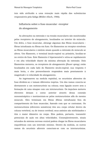 Manual de Massagem Terapêutica Mario-Paul Cassar 
tem sido atribuído a uma remoção mais rápida das substâncias 
responsáveis pela fadiga (Müller eEsch, 1966). 
Influência sobre o fuso muscular –receptor 
do alongamento 
As alterações na extensão e na tensão musculares são monitoradas 
pelos receptores do alongamento, localizados no interior do músculo. 
Um deles, o fuso muscular, abrange algumas das fibras musculares - 
fibras intrafusais ou fibras em fuso. Os filamentos no receptor envolvem 
as fibras musculares e emitem sinais quando a extensão do músculo se 
altera. Um filamento, o terminal ânulo-espiral ou primário, localiza-se 
no centro do fuso. Este filamento é hipersensível e ativa-se rapidamente 
e em alta velocidade diante da mínima alteração da extensão. Dois 
filamentos menores, os receptores de alongamento (flower spray), estão 
localizados em cada lado do filamento ânulo-espiral; sua resposta é 
mais lenta, e eles provavelmente respondem mais prontamente à 
magnitude e à velocidade do alongamento. 
Ao ingressarem na medula espinhal, os neurônios aferentes do 
fuso dividem-se e tomam diferentes trajetos. Um dos ramos conecta-se 
diretamente a um motoneurônio na coluna; essa ligação ocorre sem a 
formação de uma sinapse com um interneurônio. Os impulsos motores 
eferentes deixam o corno anterior através dessa conexão 
monossináptica e movimentam-se pelos motoneurônios alfa do mesmo 
músculo. Eles terminam em fibras (fibras extrafusais) fora do 
compartimento do fuso muscular, fazendo com que se contraiam. Os 
motoneurônios (eferentes somáticos) têm seu corpo celular dentro da 
coluna vertebral, ou de tronco cerebral; seus axônios são mielinizados e 
têm o maior diâmetro no corpo. Eles podem, portanto, transmitir 
potenciais de ação em altas velocidades. Conseqüentemente, sinais 
oriundos do sistema nervoso central podem chegar às fibras musculares 
esqueléticas com um intervalo mínimo. Dentro da medula, os outros 
ramos do neurônio aferente conectam-se com os interneurônios. 
 