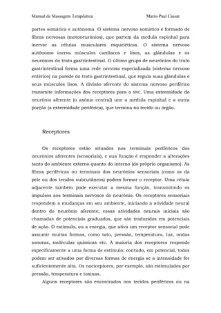 Manual de Massagem Terapêutica

Mario-Paul Cassar

partes somática e autônoma. O sistema nervoso somático é formado de
fibras nervosas (motoneurônios), que partem da medula espinhal para
inervar

as

células

musculares

esqueléticas.

O

sistema

nervoso

autônomo inerva músculos cardíacos e lisos, as glândulas e os
neurônios do trato gastrintestinal. O último grupo de neurônios do trato
gastrintestinal forma uma rede nervosa especializada (sistema nervoso
entérico) na parede do trato gastrintestinal, que regula suas glândulas e
seus músculos lisos. A divisão aferente do sistema nervoso periférico
transmite informações dos receptores para o

SNC.

Uma extremidade do

neurônio aferente (o axônio central) une a medula espinhal e a outra
porção (a extremidade periférica), que termina no tecido ou órgão.

Receptores
Os receptores estão situados nos terminais periféricos dos
neurônios aferentes (sensoriais), e sua função é responder a alterações
tanto do ambiente externo quanto do interno (do próprio organismo). As
fibras periféricas ou terminais dos neurônios sensoriais (como os da
pele ou dos tecidos subcutâneos) podem formar o receptor. Uma célula
adjacente também pode executar a mesma função, transmitindo os
impulsos aos terminais nervosos do neurônio. Os receptores sensoriais
respondem a mudanças em seu ambiente, iniciando a atividade neural
dentro do neurônio aferente; essas atividades neurais iniciais são
chamadas de potenciais graduados, que são traduzidos em potenciais
de ação. O estímulo, ou a energia, que ativa um receptor sensorial pode
assumir muitas formas, como tato, pressão, temperatura, luz, ondas
sonoras, moléculas químicas etc. A maioria dos receptores responde
especificamente a uma forma de estímulo; contudo, em potencial, todos
podem ser ativados por diversas formas de energia se a intensidade for
suficientemente alta. Os nociceptores, por exemplo, são estimulados por
pressão, temperatura e toxinas.
Alguns receptores são encontrados nos tecidos periféricos ou na

 