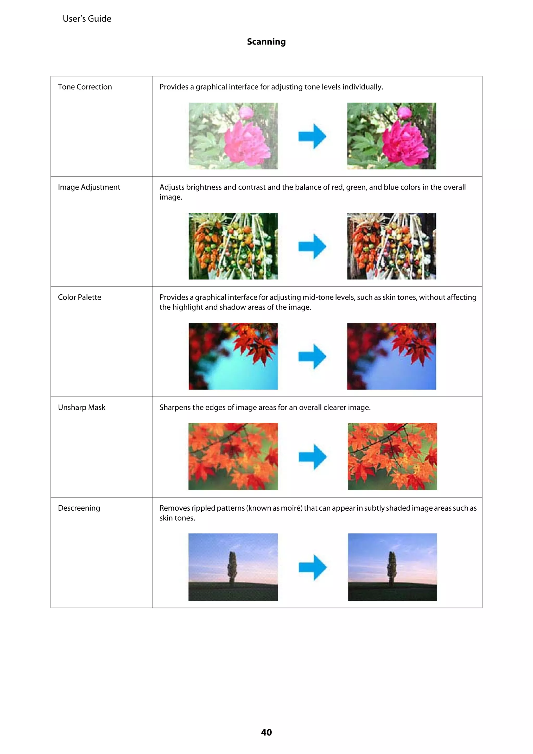 Tone Correction Provides a graphical interface for adjusting tone levels individually.
Image Adjustment Adjusts brightness and contrast and the balance of red, green, and blue colors in the overall
image.
Color Palette Provides a graphical interface for adjusting mid-tone levels, such as skin tones, without affecting
the highlight and shadow areas of the image.
Unsharp Mask Sharpens the edges of image areas for an overall clearer image.
Descreening Removesrippledpatterns(knownasmoiré)that canappearinsubtlyshadedimageareassuchas
skin tones.
User’s Guide
Scanning
40
 