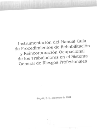 Intrumentos del manual de rehabilitación, año 2004