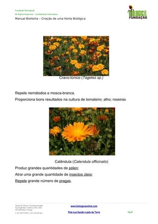 Fundação BioLogic@
All Rights Reserved – Confidential Information
Manual BioHorta – Criação de uma Horta Biológica
Cravo-túnico (Tagetes sp.)
Repele nemátodos e mosca-branca.
Proporciona bons resultados na cultura de tomateiro; alho; roseiras
Calêndula (Calendula officinalis)
Produz grandes quantidades de pólen;
Atrai uma grande quantidade de insectos úteis;
Repele grande número de pragas.
Parque da Ciência e Tecnologia da Maia
Rua Engenheiro Frederico Ulrich, 2650
4470-605 Maia | Portugal
t +351 937417095 | f +351 229 420 429
www.biologicaonline.com
Pela sua Saúde e pela da Terra Pág.29
 