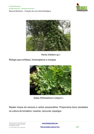 Fundação BioLogic@
All Rights Reserved – Confidential Information
Manual BioHorta – Criação de uma Horta Biológica
Heras (Hedera sp.)
Refúgio para sirfídeos, himenópteros e crisopas
Salsa (Petroselinum crispum )
Repele mosca da cenoura e certos escaravelhos. Proporciona bons resultados
na cultura de tomateiro; roseiras; cenouras; espargos
Parque da Ciência e Tecnologia da Maia
Rua Engenheiro Frederico Ulrich, 2650
4470-605 Maia | Portugal
t +351 937417095 | f +351 229 420 429
www.biologicaonline.com
Pela sua Saúde e pela da Terra Pág.30
 