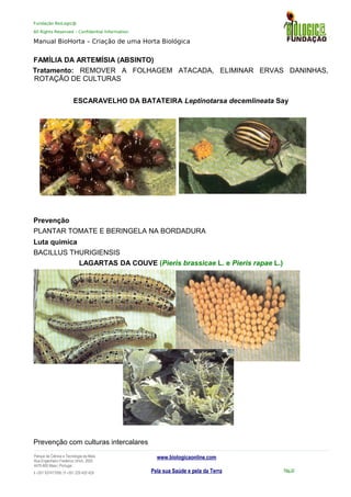 Fundação BioLogic@
All Rights Reserved – Confidential Information
Manual BioHorta – Criação de uma Horta Biológica
FAMÍLIA DA ARTEMÍSIA (ABSINTO)
Tratamento: REMOVER A FOLHAGEM ATACADA, ELIMINAR ERVAS DANINHAS,
ROTAÇÃO DE CULTURAS
ESCARAVELHO DA BATATEIRA Leptinotarsa decemlineata Say
Prevenção
PLANTAR TOMATE E BERINGELA NA BORDADURA
Luta quimica
BACILLUS THURIGIENSIS
LAGARTAS DA COUVE (Pieris brassicae L. e Pieris rapae L.)
Prevenção com culturas intercalares
Parque da Ciência e Tecnologia da Maia
Rua Engenheiro Frederico Ulrich, 2650
4470-605 Maia | Portugal
t +351 937417095 | f +351 229 420 429
www.biologicaonline.com
Pela sua Saúde e pela da Terra Pág.32
 