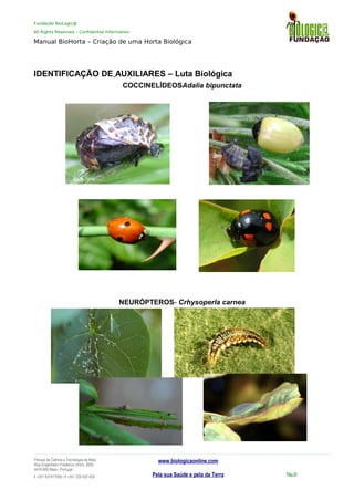 Fundação BioLogic@
All Rights Reserved – Confidential Information
Manual BioHorta – Criação de uma Horta Biológica
IDENTIFICAÇÃO DE AUXILIARES – Luta Biológica
COCCINELÍDEOSAdalia bipunctata
NEURÓPTEROS- Crhysoperla carnea
Parque da Ciência e Tecnologia da Maia
Rua Engenheiro Frederico Ulrich, 2650
4470-605 Maia | Portugal
t +351 937417095 | f +351 229 420 429
www.biologicaonline.com
Pela sua Saúde e pela da Terra Pág.35
 