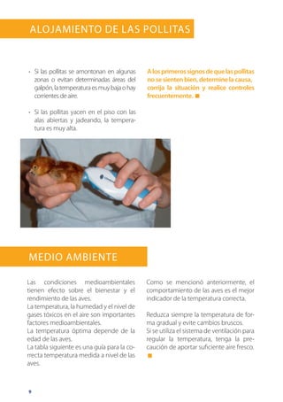 9
Alojamiento de las Pollitas
Medio ambiente
Las condiciones medioambientales
tienen efecto sobre el bienestar y el
rendimiento de las aves.
La temperatura, la humedad y el nivel de
gases tóxicos en el aire son importantes
factores medioambientales.
La temperatura óptima depende de la
edad de las aves.
La tabla siguiente es una guía para la co-
rrecta temperatura medida a nivel de las
aves.
Como se mencionó anteriormente, el
comportamiento de las aves es el mejor
indicador de la temperatura correcta.
Reduzca siempre la temperatura de for-
ma gradual y evite cambios bruscos.
Si se utiliza el sistema de ventilación para
regular la temperatura, tenga la pre-
caución de aportar suficiente aire fresco.
•	 Si las pollitas se amontonan en algunas
zonas o evitan determinadas áreas del
galpón,latemperaturaesmuybajaohay
corrientes de aire.
•	 Si las pollitas yacen en el piso con las
alas abiertas y jadeando, la tempera-
tura es muy alta.
Alosprimerossignosdequelaspollitas
nosesientenbien,determinelacausa,
corrija la situación y realice controles
frecuentemente.
 