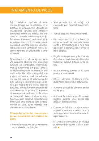 13
Tratamiento de picos
Bajo condiciones óptimas, el trata-
miento del pico no es necesario. En la
práctica, es ampliamente utilizado en
instalaciones cerradas con ambiente
controlado como una medida de pre-
caución contra el canibalismo y el picaje.
Este comportamiento puede producirse
a cualquier edad como consecuencia de
intensidad lumínica excesiva, desequi-
librio alimenticio, ventilación pobre, ex-
cesiva densidad de alojamiento o abu-
rrimiento.
Especialmente en el manejo en suelo
y/o galpones abiertos con intensidad
lumínica no controlable, recomenda-
mos el tratamiento del pico, sujeto a
las reglamentaciones de bienestar ani-
mal locales. Un método muy delicado
y altamente recomendado para el trata-
miento del pico, es el tratamiento del
pico superior e inferior con rayos infrar-
rojos por medio de una técnica especial
ejecutada inmediatamente después del
nacimiento de las pollitas. Este proce-
dimiento puede realizarse en la planta
de incubación bajo condiciones muy
higiénicas por personal especialmente
entrenado. Otro método para el trata-
miento de picos es el realizado me-
diante una cuchilla caliente.
Observe las siguientes precauciones
para el tratamiento convencional de
picos:
•	 Trate solamente aves sanas y no estre-
sadas a la edad de 7-10 días.
•	 Sólo permita que el trabajo sea
ejecutado por personal experimen-
tado.
•	 Trabaje despacio y cuidadosamente.
•	 Use solamente equipo y hojas en
perfecto estado de funcionamiento;
ajuste la temperatura de la hoja para
garantizar la cauterización y evitar el
daño del pico.
•	 Regule la temperatura y la duración
del tratamiento de acuerdo al tamaño,
fortaleza y calidad del pico de la po-
llita.
•	 No dar alimento durante las 12 horas
previas al tratamiento.
•	 Ofrecer alimento ad-libitum inme-
diatamente después del tratamiento.
•	 Aumente el nivel del alimento en los
comederos.
•	 Aumente la temperatura de la nave
(galpón) durante unos pocos días
después del tratamiento.
•	 Durante los 3-5 días tras el tratamien-
to, proporcione una hora más de luz y
suministre alimento al final de la tarde
o por la noche.
•	 El suministro de vitaminas en el agua
puede también ayudar a aliviar el es-
trés.
 