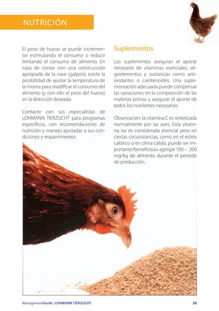 ManagementGuide | LOHMANN TIERZUCHT 20
El peso de huevo se puede incremen-
tar estimulando el consumo o reducir
limitando el consumo de alimento. En
caso de contar con una construcción
apropiada de la nave (galpón), existe la
posibilidad de ajustar la temperatura de
la misma para modificar el consumo del
alimento (y con ello el peso del huevo)
en la dirección deseada.
Contacte con sus especialistas de
LOHMANN TIERZUCHT para programas
específicos, con recomendaciones de
nutrición y manejo ajustadas a sus con-
diciones y requerimientos.
Suplementos
Los suplementos aseguran el aporte
necesario de vitaminas esenciales, oli-
goelementos y sustancias como anti-
oxidantes o carotenoides. Una suple-
mentación adecuada puede compensar
las variaciones en la composición de las
materias primas y asegurar el aporte de
todos los nutrientes necesarios.
Observación: la vitamina C es sintetizada
normalmente por las aves. Esta vitami-
na no es considerada esencial pero en
ciertas circunstancias, como en el estrés
calórico o en clima cálido, puede ser im-
portante/beneficioso agregar 100 – 200
mg/kg de alimento durante el período
de producción.
Nutrición
 