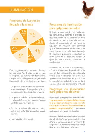 ManagementGuide | LOHMANN TIERZUCHT 26
Iluminación
Programa de luz tras su
llegada a la granja
Este programa puede ser usado durante
los primeros 7 a 10 días, luego se pasa
al programa de iluminación decreciente.
La aplicación del siguiente programa de
iluminación tiene las siguientes ventajas:
• Las pollitas descansarán y/o dormirán
al mismo tiempo. Esto significa que su
comportamiento estará sincronizado.
• Las pollitas débiles serán estimuladas
por las más fuertes a moverse así como
también a comer y beber.
• El comportamiento del lote será más
uniforme y se facilitará la evaluación de
las aves.
• La mortalidad disminuirá.
Programa de iluminación
para galpones cerrados
El límite al cual pueden ser reducidas
las horas de luz durante el período de
levante (cría-recría) y cuál es el momento
del comienzo de la estimulación me-
diante el incremento de las horas de
luz, son los recursos que permiten
ajustar el rendimiento de las aves a los
requerimientos específicos de la granja.
El siguiente programa estándard de
iluminación está diseñado como un
ejemplo para comienzo temprano de
producción.
La intensidad de la luz medida en watt/
m2
, lúmenes o luxes depende de la fu-
ente de luz utilizada. Dar consejos rela-
tivos a estas mediciones irritará mas que
ayudará a los avicultores de postura. Por
lo tanto la intensidad de la luz en la si-
guiente tabla sólo se menciona en luxes.
Programa de iluminación
para galpones abiertos
El principio para galpones cerrados de
“ no aumentar las horas de luz duran-
te el período de levante (cría-recría) y
no reducir las horas de luz durante el
período de producción” también se
aplica para los galpones abiertos.
El efecto de la luz natural debe ser consi-
derado al diseñar programas de ilumina-
ción si la luz natural penetra dentro del
galpón o si durante el día las aves tienen
libre acceso al exterior del mismo.
2 hoscuridad
2 hoscuri-
dad
2 hoscuri-
dad
2 hoscuridad
4 hluz
4 hluz
4 hluz
4 h
luz
 