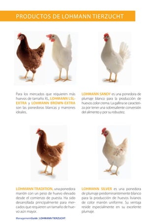 ManagementGuide | LOHMANN TIERZUCHTManagementGuide | LOHMANN TIERZUCHT
Productos de LOHMANN TIERZUCHT
Para los mercados que requieren más
huevos de tamaño XL, LOHMANN LSL-
EXTRA y LOHMANN BROWN-EXTRA
son las ponedoras blancas y marrones
ideales.
LOHMANN SILVER es una ponedora
de plumaje predominantemente blanco
para la producción de huevos livianos
de color marrón uniforme. Su ventaja
reside especialmente en su excelente
plumaje.
LOHMANN TRADITION, una ponedora
marrón con un peso de huevo elevado
desde el comienzo de puesta. Ha sido
desarrollada principalmente para mer-
cados que requieren un tamaño de hue-
vo aún mayor.
LOHMANN SANDY es una ponedora de
plumaje blanco para la producción de
huevos color crema. La gallina se caracteri-
za por tener una sobresaliente conversión
del alimento y por su robustez.
 